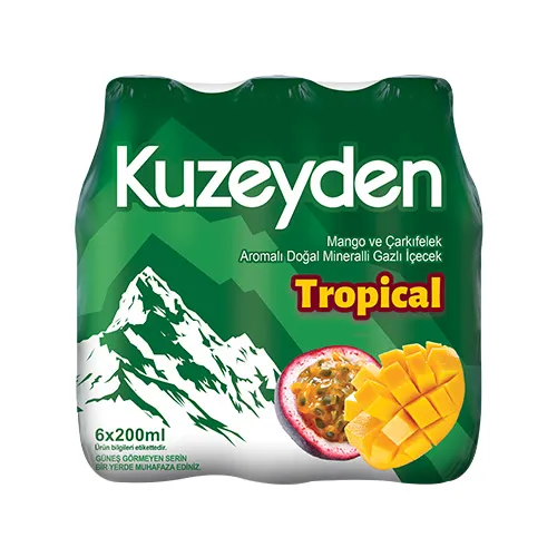 KUZEYDEN MEYVALI SODA TROPİCAL 200CC*24*