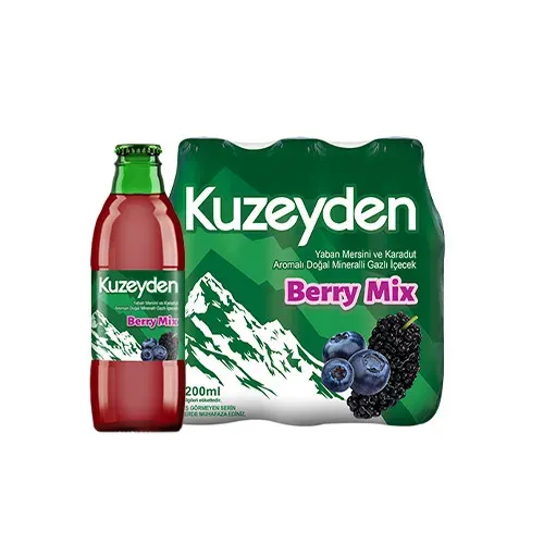 KUZEYDEN MEYVALI SODA BERRY 200CC*24*