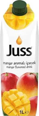 JUSS 1/1 İÇECEK MANGO*12