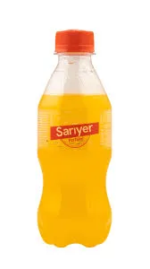 SARIYER PET 250ML PORTAKAL *12*