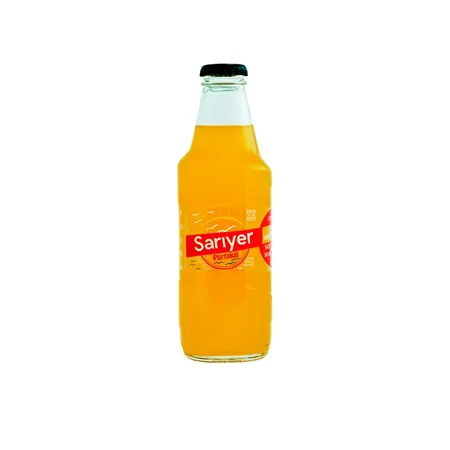 SARIYER CAM 200ML PORTAKAL*24